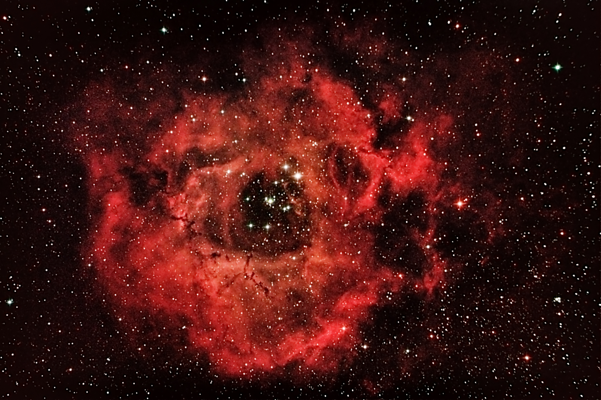 NGC 2239 Rosettennebel